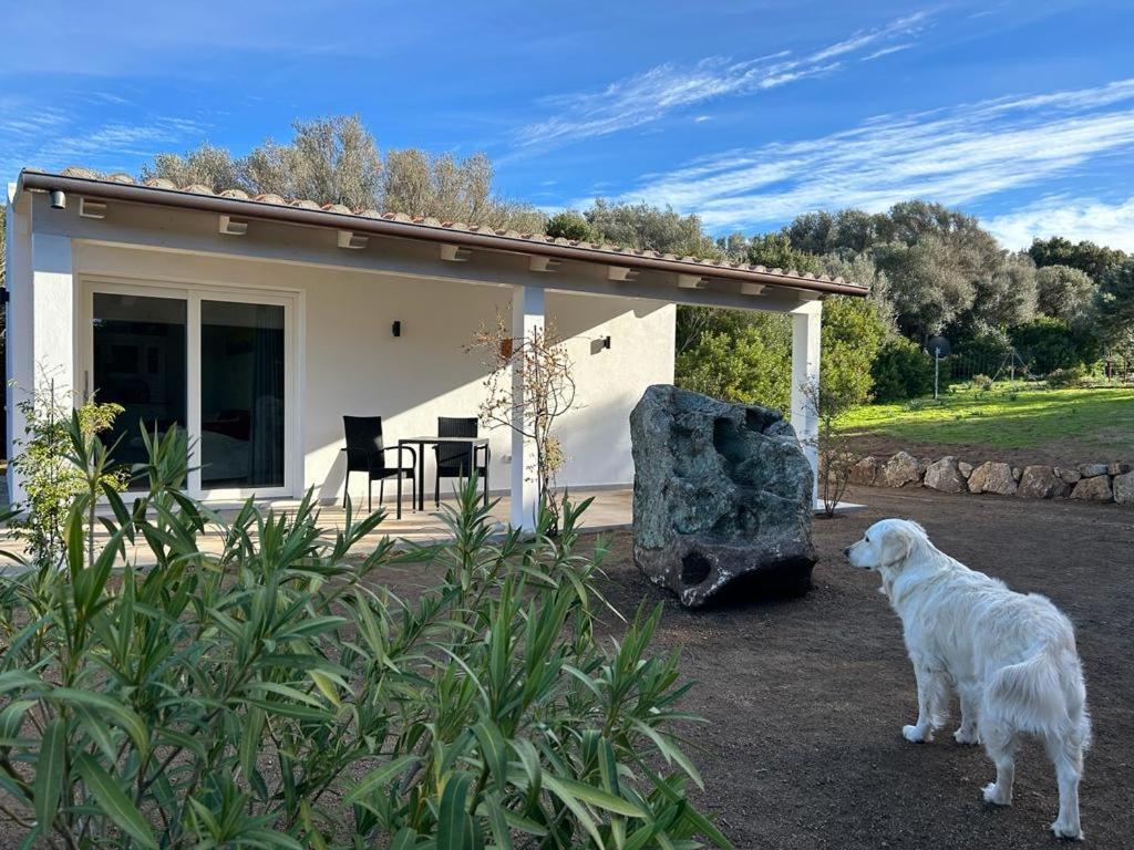 La Piana Holiday House Bassacutena Dış mekan fotoğraf