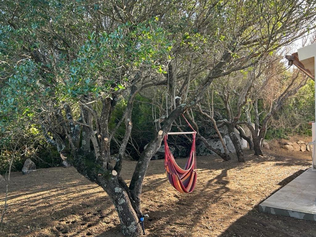 La Piana Holiday House Bassacutena Dış mekan fotoğraf