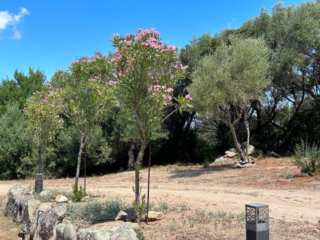 La Piana Holiday House Bassacutena Dış mekan fotoğraf