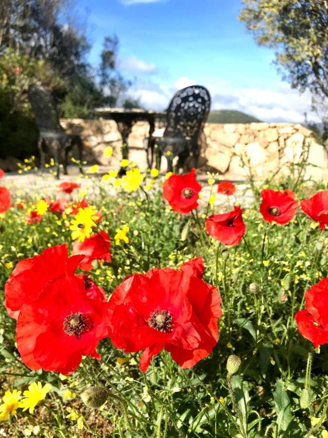 La Piana Holiday House Bassacutena Dış mekan fotoğraf